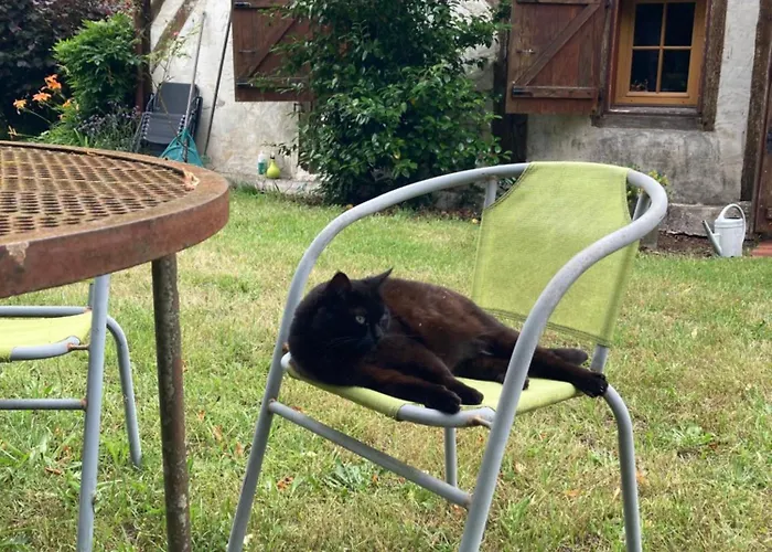 Maison Landaise Traditionnelle Villa