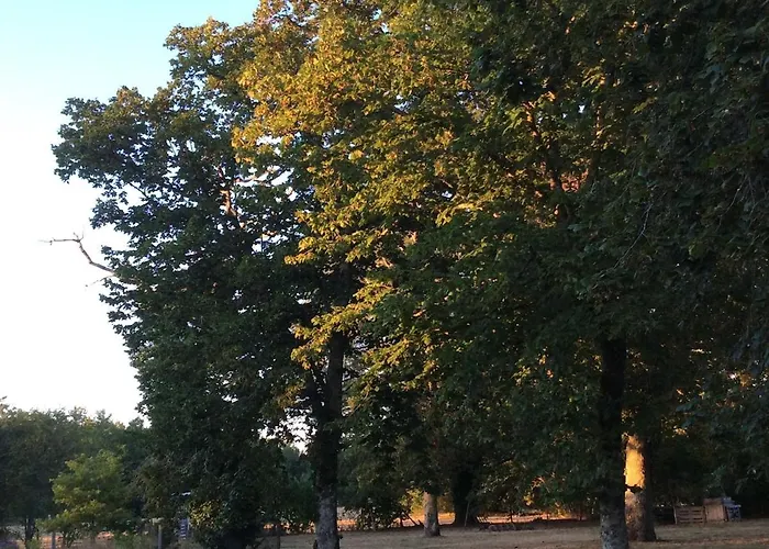 Villa Maison Landaise Traditionnelle