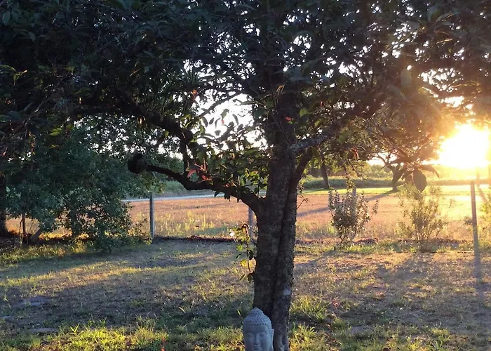 Villa Maison Landaise Traditionnelle *